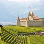 Au Mondial du Chasselas