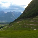 Vue du Chablais depuis Château Maison-Blanche Photo: Hervé Lalau