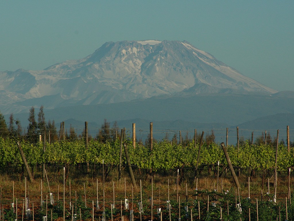 Vignoble chilien de Via Wines Photo: Via Wines