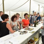 Fest des Chasselas 2016