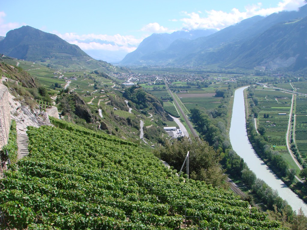 Vignoble du Valais Photo: Alexandre Truffer