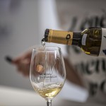 Le Chasselas, cépage à fort potentiel mais délaissé des producteurs ?