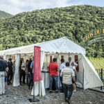 Programme de la Fête du Chasselas 2019