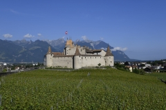 Aigle le 2 juin 2017 ChÃ¢teau d'Aigle dans le cadre du Mondial du Chasselas  dÃ©gustation du jury  Â©2017,studio edouard curchod, tous droits rÃ©servÃ©s