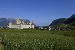 Aigle le 2 juin 2017 ChÃ¢teau d'Aigle dans le cadre du Mondial du Chasselas  dÃ©gustation du jury  Â©2017,studio edouard curchod, tous droits rÃ©servÃ©s