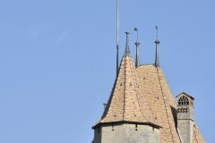 Aigle le 2 juin 2017 ChÃ¢teau d'Aigle dans le cadre du Mondial du Chasselas  dÃ©gustation du jury  Â©2017,studio edouard curchod, tous droits rÃ©servÃ©s