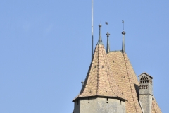 Aigle le 2 juin 2017 ChÃ¢teau d'Aigle dans le cadre du Mondial du Chasselas  dÃ©gustation du jury  Â©2017,studio edouard curchod, tous droits rÃ©servÃ©s