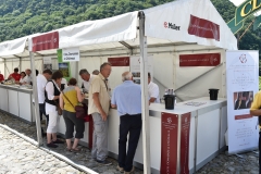 Aigle le 27 juin 2015 ChÃ¢teau d'Aigle dans le cadre du Mondial du Chasselas  la FÃªte du Chasselas   Â©2015,studio edouard curchod, tous droits rÃ©servÃ©s