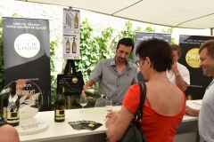 Aigle le 27 juin 2015 ChÃ¢teau d'Aigle dans le cadre du Mondial du Chasselas  la FÃªte du Chasselas   Â©2015,studio edouard curchod, tous droits rÃ©servÃ©s