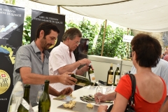 Aigle le 27 juin 2015 ChÃ¢teau d'Aigle dans le cadre du Mondial du Chasselas  la FÃªte du Chasselas   Â©2015,studio edouard curchod, tous droits rÃ©servÃ©s