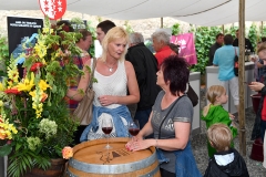 Aigle le 25 juin 2016 ChÃ¢teau d'Aigle  Mondial du Chasselas  5e  FÃªte du Chasselas  Â©2016,studio edouard curchod, tous droits rÃ©servÃ©s