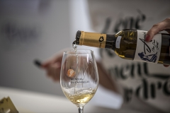 MONDIAL_CHASSELAS_2018_FETE_0664