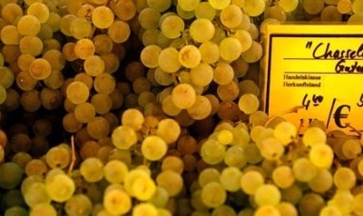 Anmeldung Mondial du Chasselas 2024