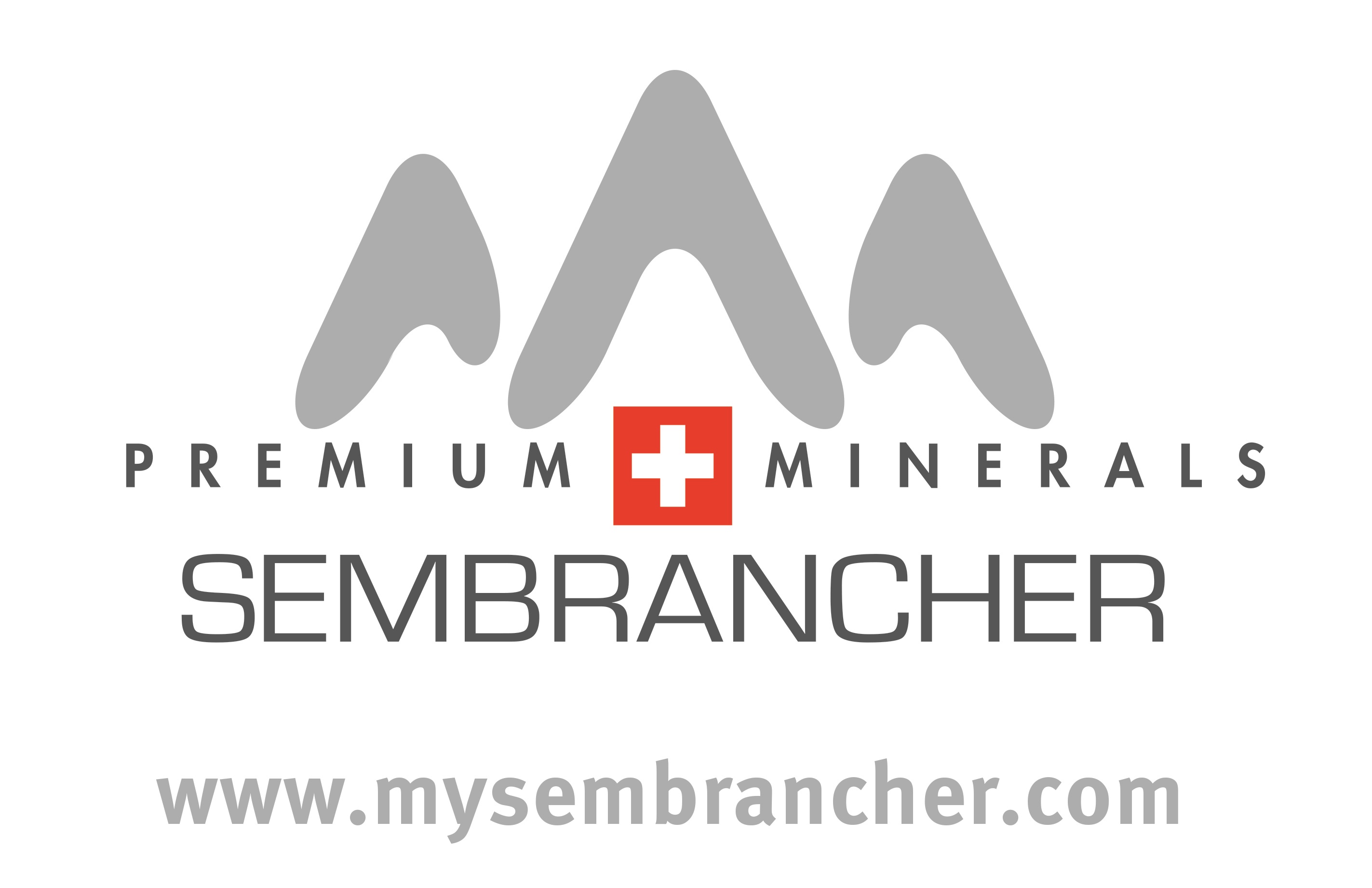 Sembrancher_ann_A4_F