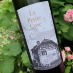 Une petite cure de Chasselas?