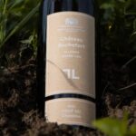 “Tout nu” couronné meilleur vin nature suisse