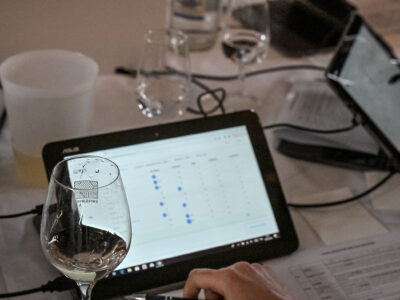 Mondial du Chasselas 2025 : 20% de vins étrangers dans un millésime en recul