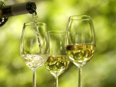 Mondial des pinots et Mondial du chasselas: des vins valaisans brillent dans les deux concours